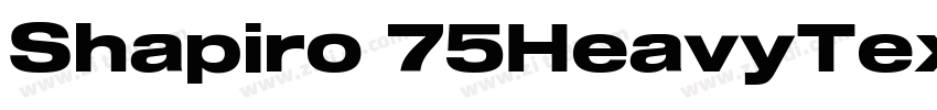 Shapiro 75HeavyText字体转换 Shapiro 75HeavyText字体转换